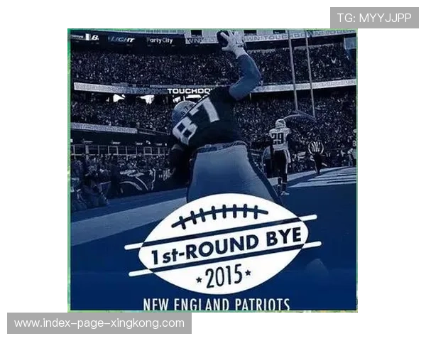 NFL 季后赛资格战:最后 20 秒翻盘 NFL 季后赛资格战:最后 20 秒翻盘