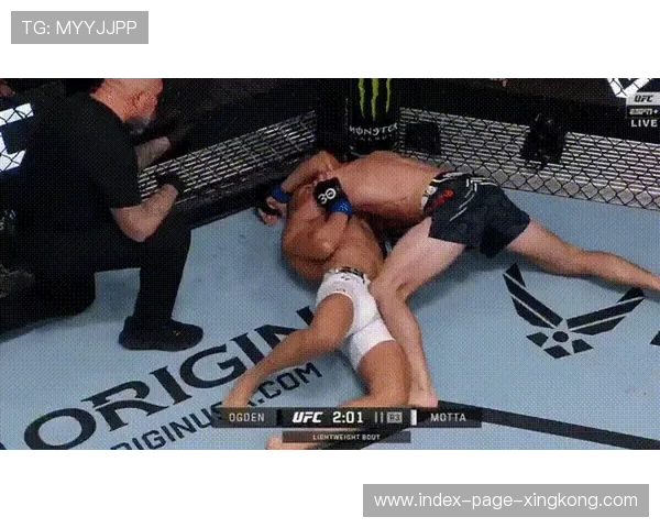 UFC 比赛裁判失误 UFC 比赛裁判失误