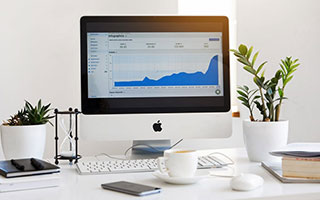 NBA绿色环保计划：推动可持续发展的新动向，绿色环保百科